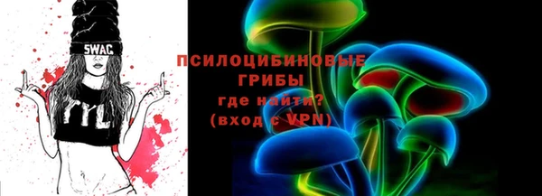 индика Алексеевка