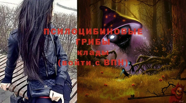 индика Алексеевка